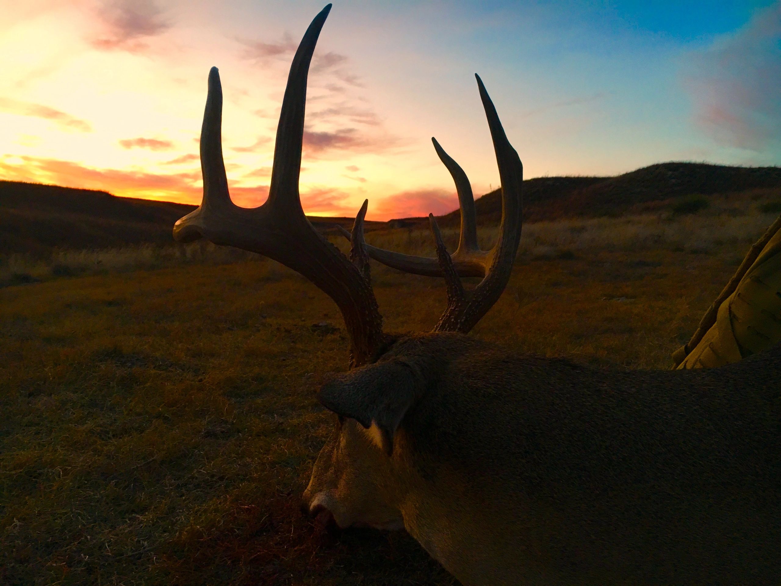 West Texas Deer Hunting T Fork Outfitters and Long Range